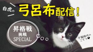 【三国志大戦】白虎の弓呂布で👑征覇王👑昇格戦配信×2【LIVE配信.VOL20】