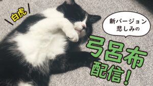 【三国志大戦】もう負けることは覚悟してます弓呂布配信【LIVE配信.VOL23】