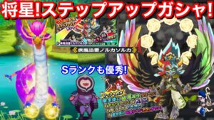 将星！疾風迅雷ノルカソルカ 初登場！必殺 たたり！開幕 超加護 打ち消しガード！Sランクも超優秀！ステップアップガシャ 回してみた！【妖怪三国志 国盗りウォーズ】暴走カイラ エルゼ ハッピUSAピョン