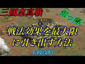 【三國志 真戦】知ってると差がつく戦法効果の最大化❗️【上級攻略】 真戦動画  三国志