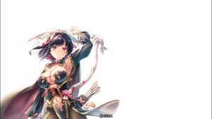 【三国志大戦】はじき射撃の王異は楽しい２