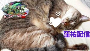 【窪祐配信】前日60戦…ウォームアップは完璧です！かくそもいるよ【三国志大戦 第87回】