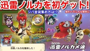 迅雷ノルカ 初ゲット もはや無料配布【妖怪三国志 国盗りウォーズ】開幕 打ち消しガード 強キャラ こんな簡単に！特産品 絆 召喚 ジバニャン金貨 入手方法！集め方 使い方 新国盗り 攻城戦 疾風ソルカ