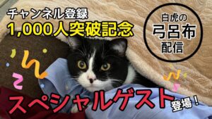 【三国志大戦】チャンネル登録1000人突破ありがとうございます配信。スペシャルゲスト有！【LIVE配信.VOL48】