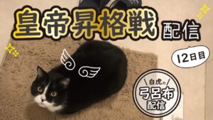 【三国志大戦】いよいよ皇帝昇格戦!弓呂布で意地を見せます。たまに替天さんプレイもあり?【12日目】