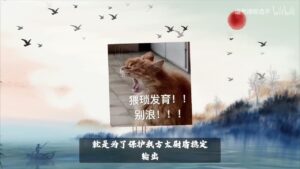 【三国志战略版】都去玩太尉盾了,草船去哪?丨论基于太尉盾的共存体系!