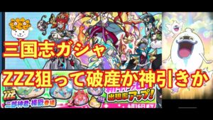 三国志ガシャZZZを狙って最大220連！妖怪ウォッチぷにぷに