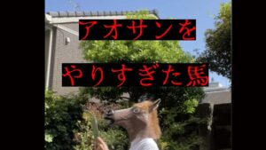 蒼の三国志　アオサンをやりすぎた馬