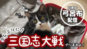 【三国志大戦】白虎弓呂布配信。久々の弓呂布はまだまだ現役なのか！？【長野BeeGames】