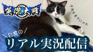 【英傑大戦】白虎配信。替天さんあり？リベンジマッチ🔥【長野BeeGames】