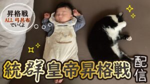 【三国志大戦】統皇帝昇格戦配信。🔥オールスター弓呂布で昇格目指します🔥【長野BeeGames】