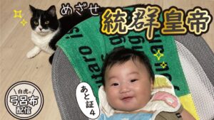 【三国志大戦】白虎の弓呂布配信。何とか今週中に昇格戦突入したい！！！残り証４つ【長野BeeGames】