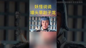 谁能想到你竟然是这样的赵子龙 #三国志 #新三国 #三国演义